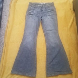 Express super flare denim jeans